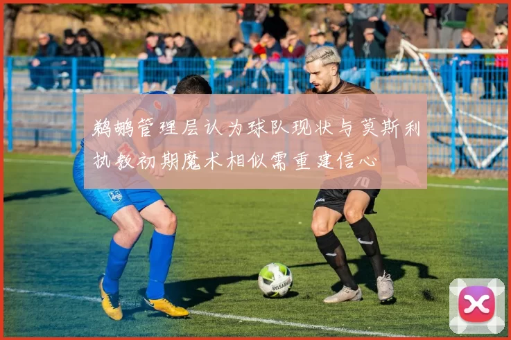 鹈鹕管理层认为球队现状与莫斯利执教初期魔术相似需重建信心